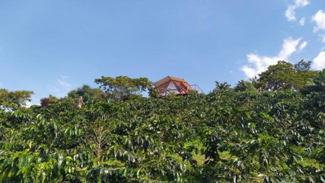 Glamping Orosierra Hotel Chinchiná Eksteriør billede