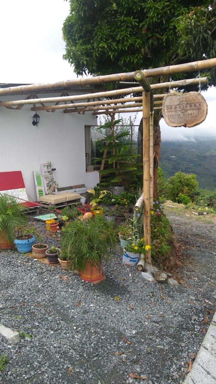 Glamping Orosierra Hotel Chinchiná Eksteriør billede