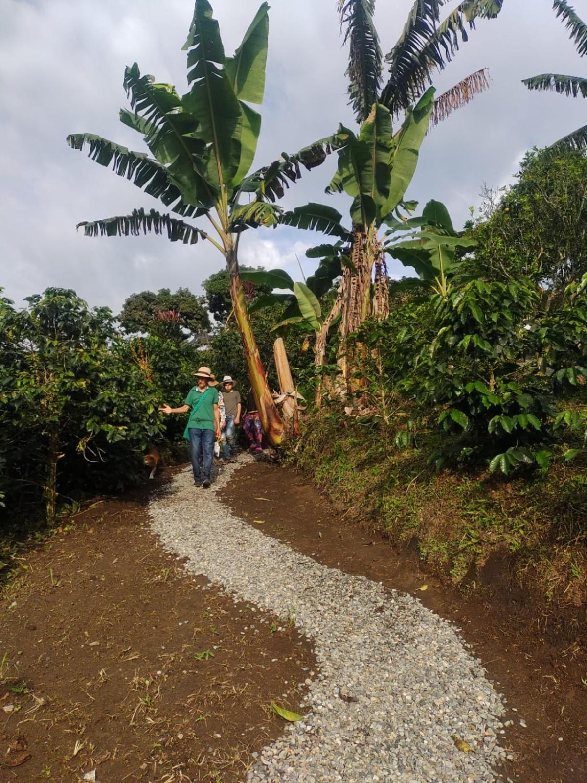Glamping Orosierra Hotel Chinchiná Eksteriør billede