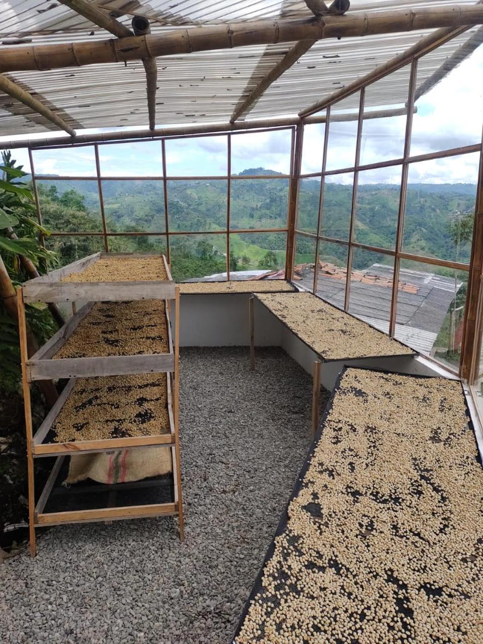 Glamping Orosierra Hotel Chinchiná Eksteriør billede